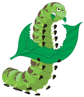 http://funforkids.ru/pictures/caterpillar/caterpillar005.png